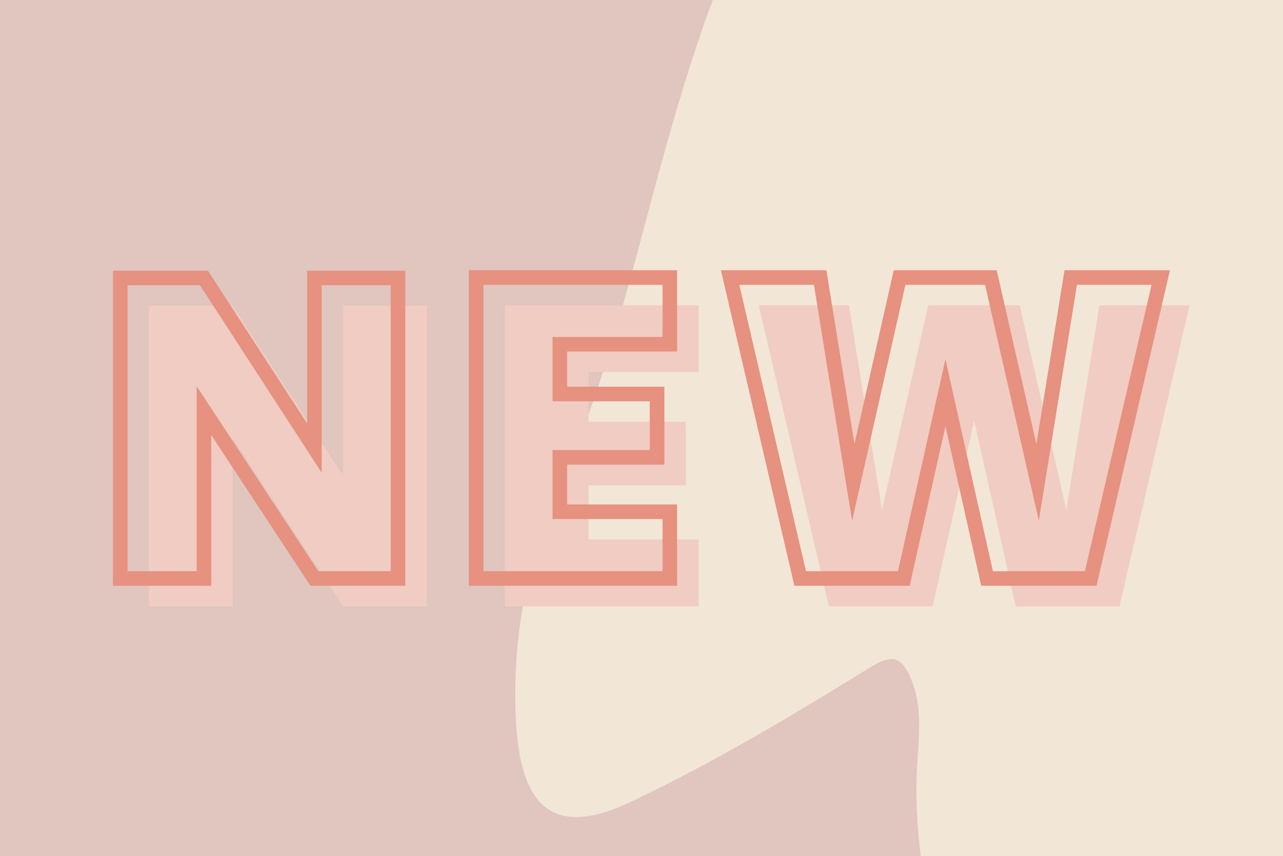 Le 11 mars 2017 : vernissage de notre nouvelle boutique